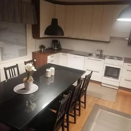 Naetti Viihtyisae Talo 1920 Luvulta *