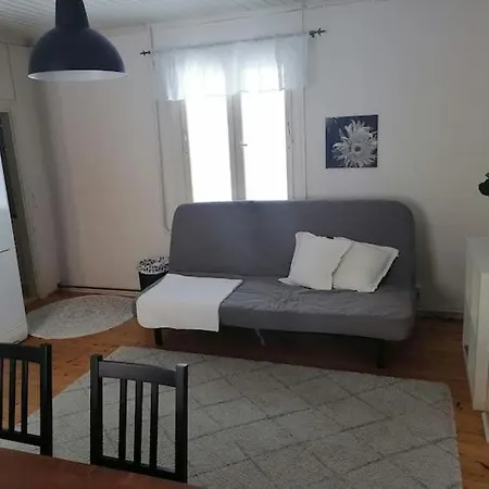 Naetti Viihtyisae Talo 1920 Luvulta *