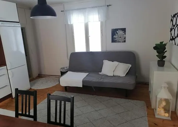 Naetti Viihtyisae Talo 1920 Luvulta *